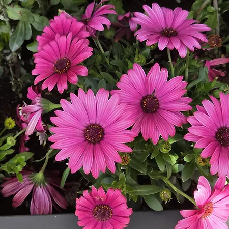 Da Nonna Maria Appartamento