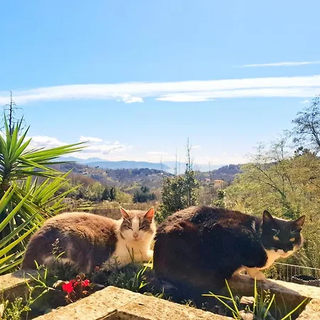 Da Nonna Maria Appartement