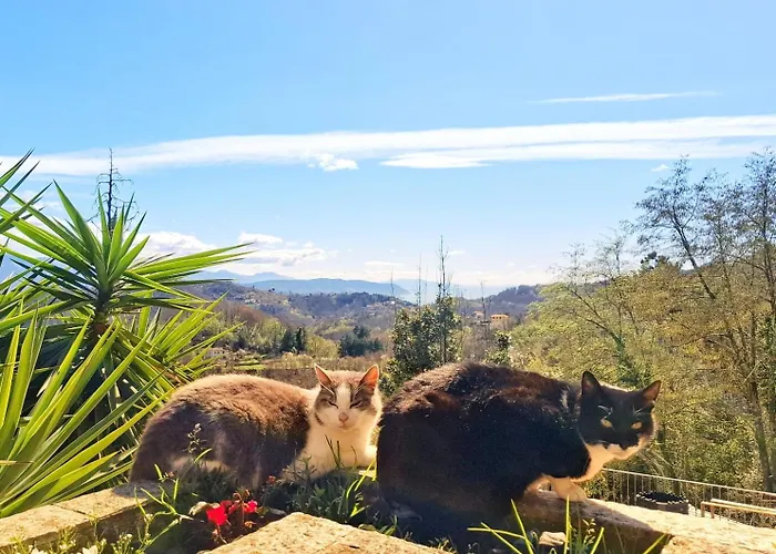 Da Nonna Maria Lägenhet